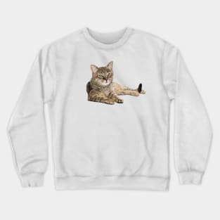 Katze Crewneck Sweatshirt